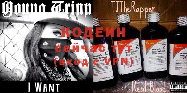 шишки Балабаново