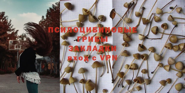 бошки Аркадак