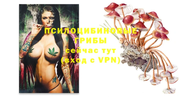 бошки Аркадак