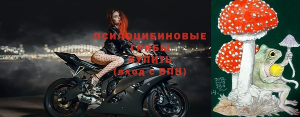бошки Аркадак