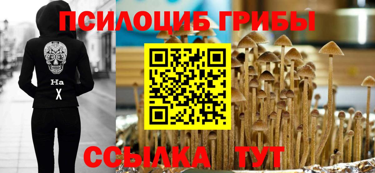 Галлюциногенные грибы мицелий  Вход с VPN  Баксан 