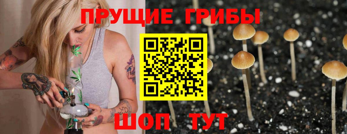 Псилоцибиновые грибы GOLDEN TEACHER Баксан
